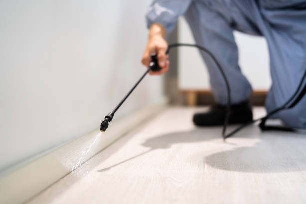 Licensed Termite Control service in Butler County County, IA - Nex Pest Control