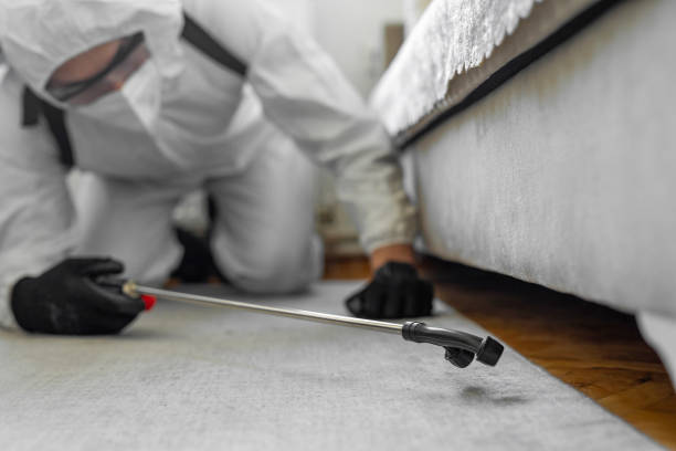 Professional Termite Control technician working in Butler County County, IA